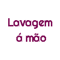 Lavagem á Mão