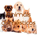 Animais de estimação