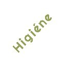 Higiene