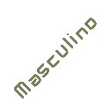 Masculino