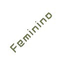 Feminino