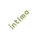 Intima